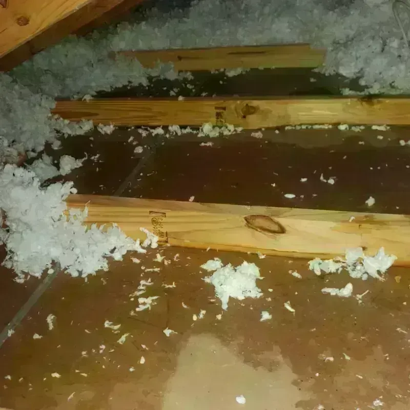 Attic Water Damage in Wells Branch, TX