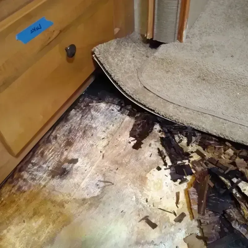 Wood Floor Water Damage in Wells Branch, TX